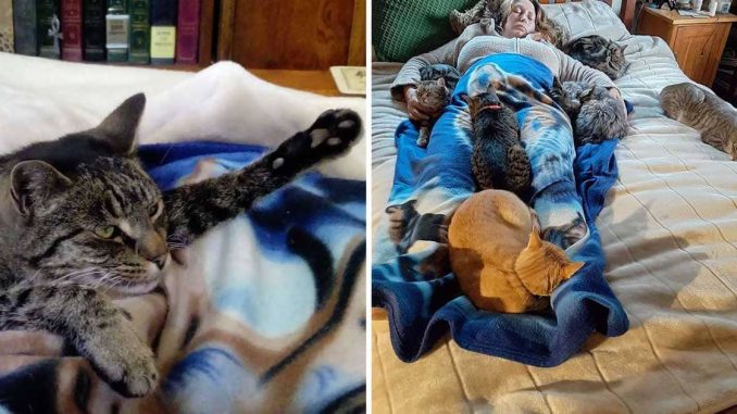 Sweet-Cats-Cuddle-With-Mom-To-Comfort-And-Make-Her-Feel-Better-After-Surgery