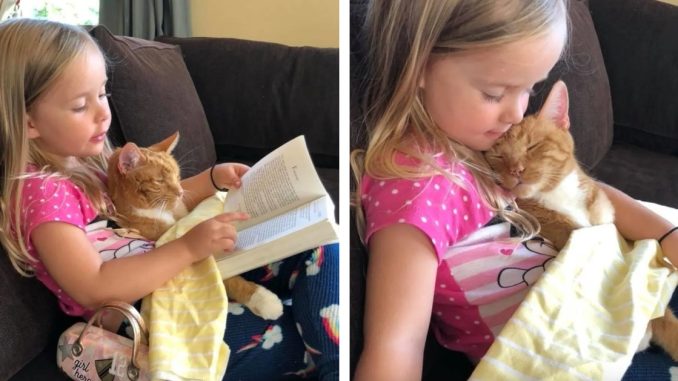 girl-and-cat
