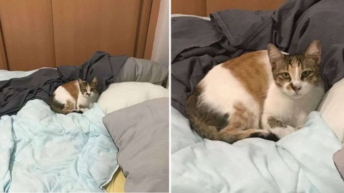 Man-Returns-Home-From-Work-And-Sees-Someone-Sleeping-In-His-Bed